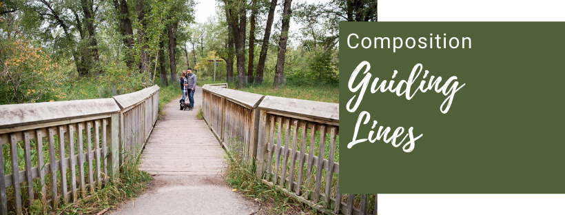 Composition is a very important part of photography. How to compose a quality photo using guiding lines