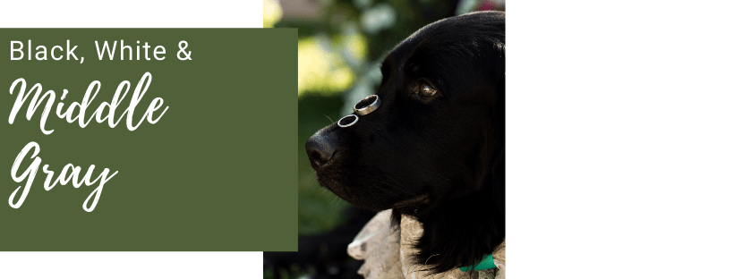 What is middle gray in photography