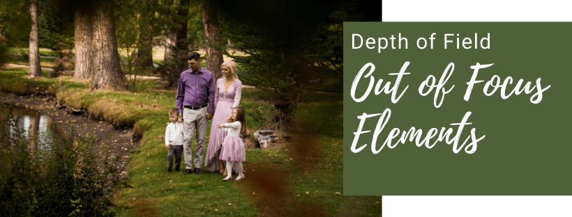 how to use the three factors that affect the depth of field, the aperture, the distance between you and your subject and how much you zoom in, to your advantage