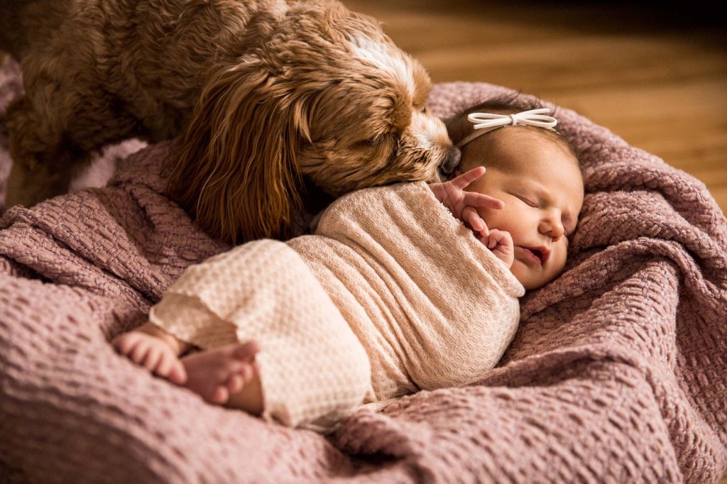 Calgary newborn photographer - in-home lifestyle newborn photography