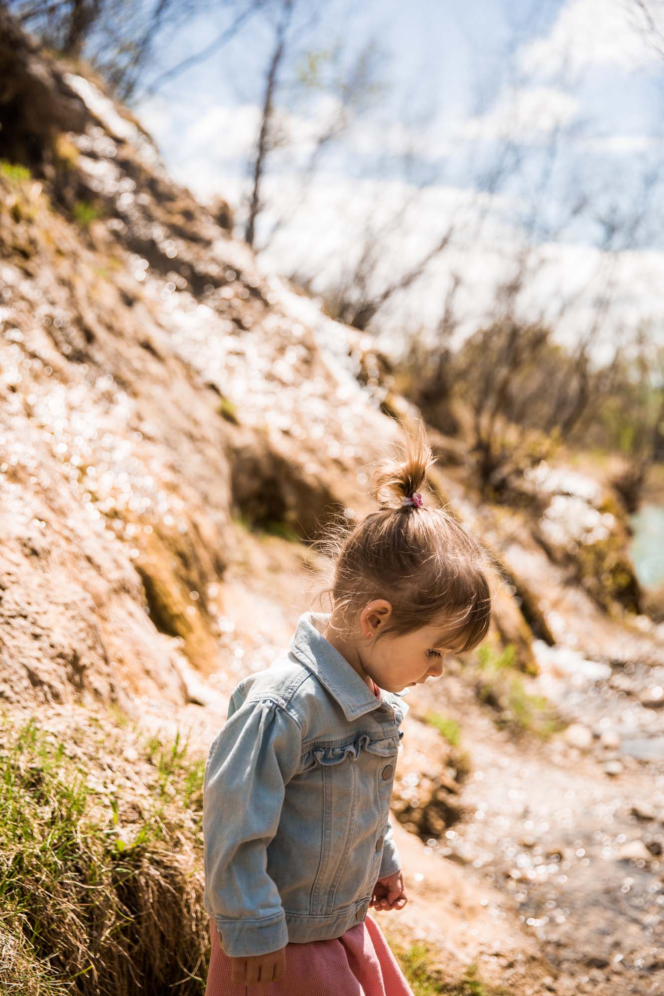 Calgary family photographer, family photos at Waterfall Valley in Bowmont Park