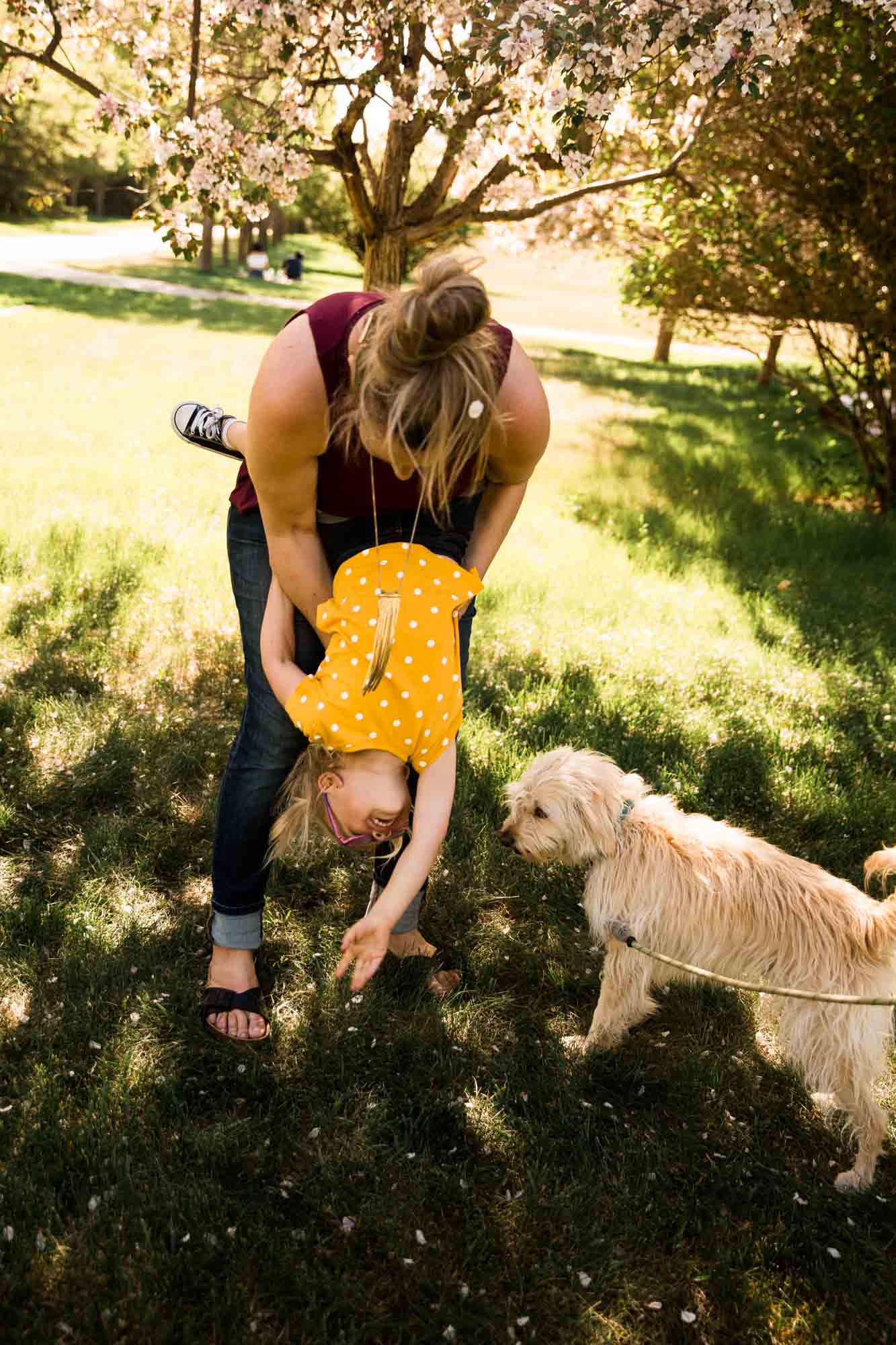 Bringing your dog to your photo session or photoshoot for family, newborn and more