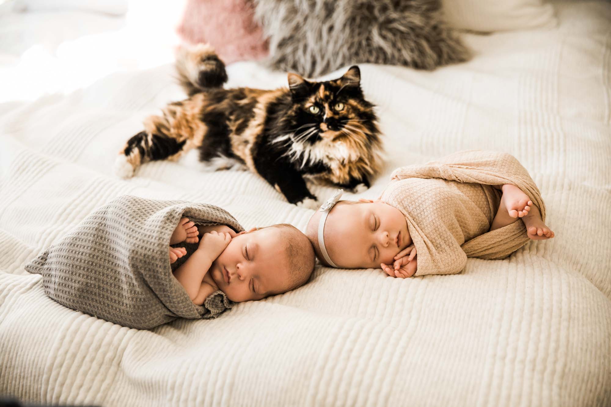 Bringing your dog to your photo session or photoshoot for family, newborn and more