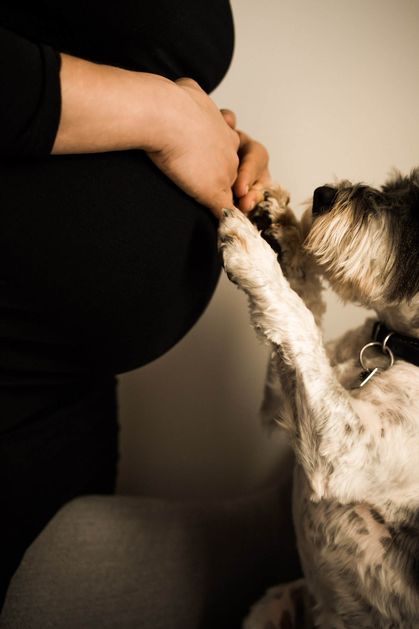 Calgary maternity and newborn photographer, mom with a beautiful pregnant belly in natural window light