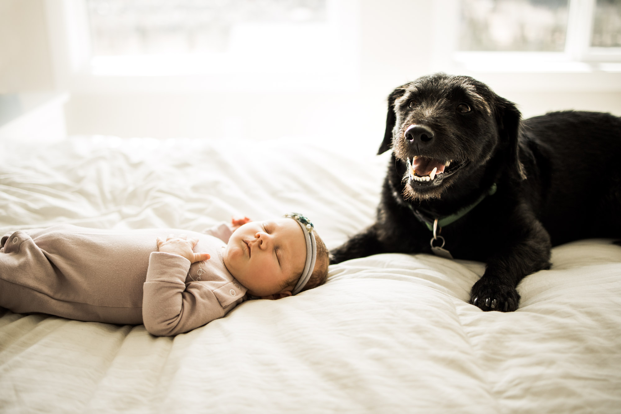 Calgary newborn and maternity photographer, in-home lifestyle photos with a family holding their newborn baby