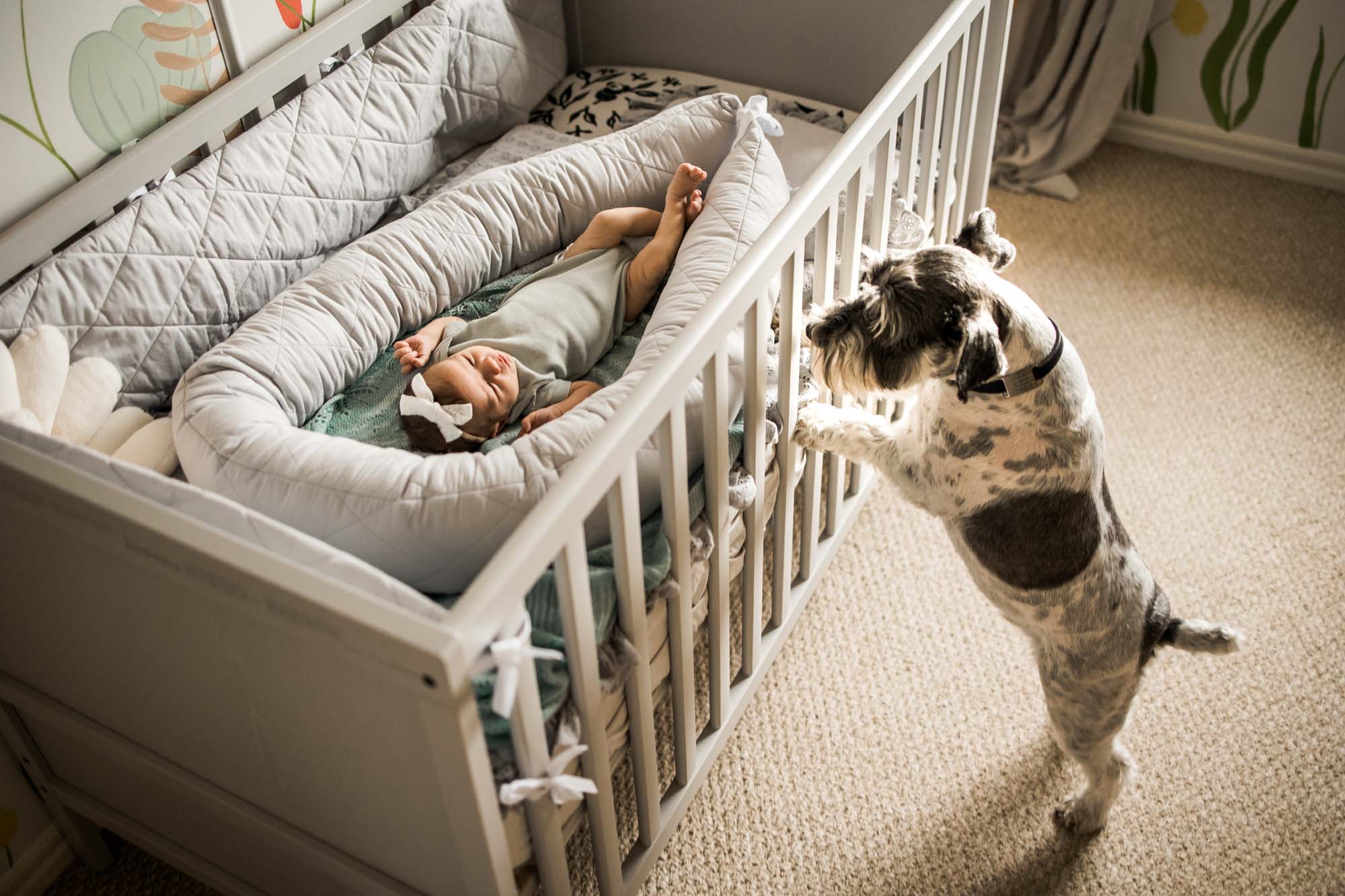 Calgary maternity and newborn photographer, in-home lifestyle baby photos