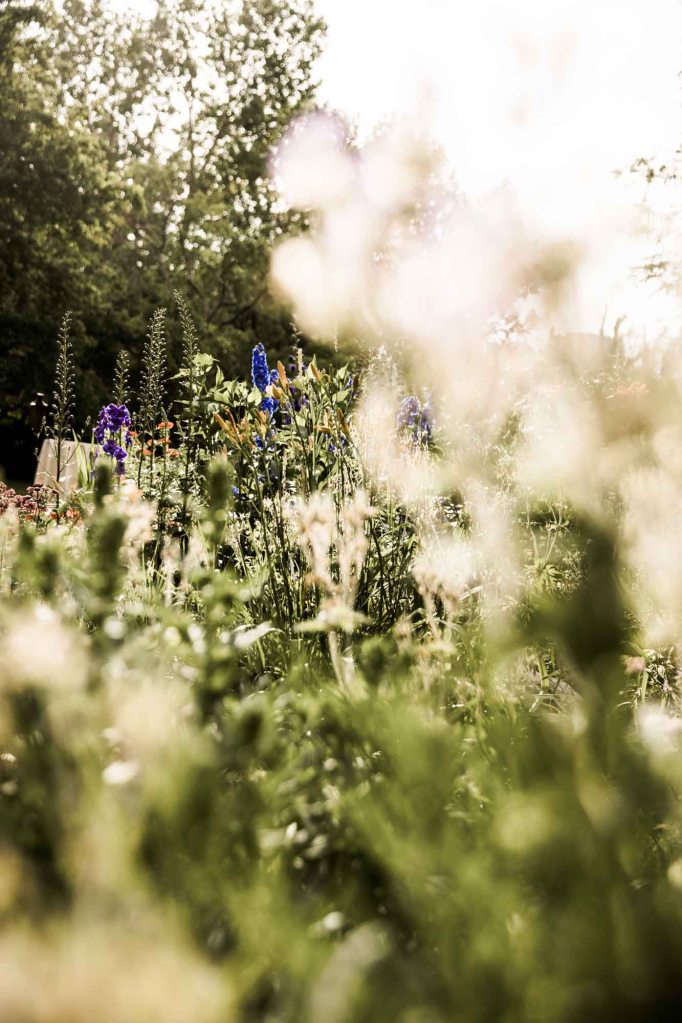 Calgary Wedding Photographer, photos of a wedding at Rouge Restaurant in Inglewood