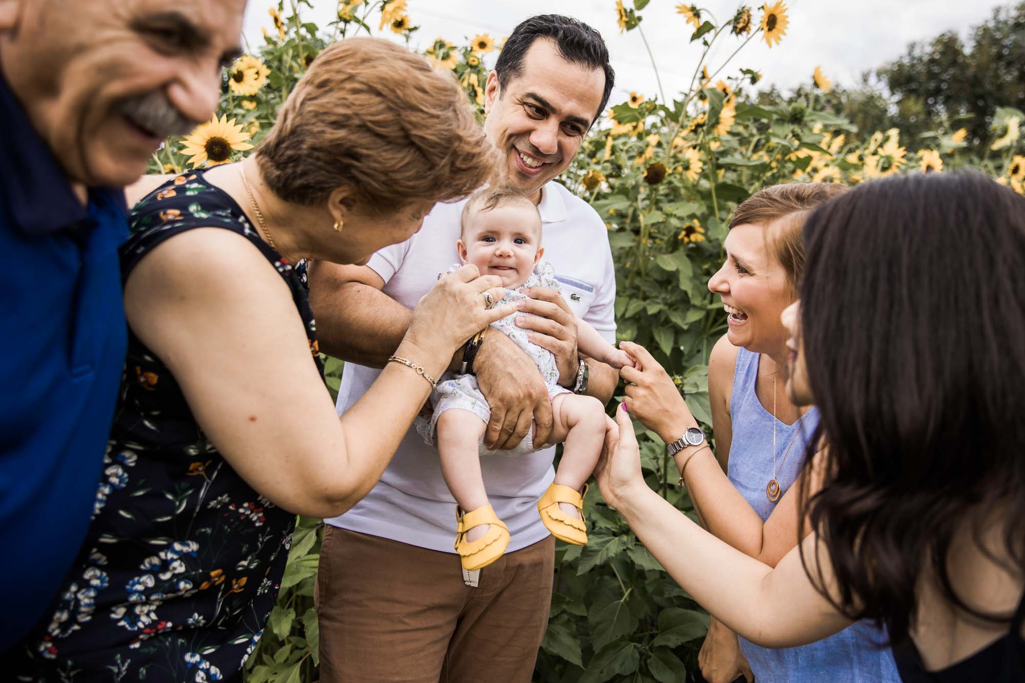 Calgary, Kananaskis, Banff lifestyle family photographer, family in front of sunflowers during their summer family photos