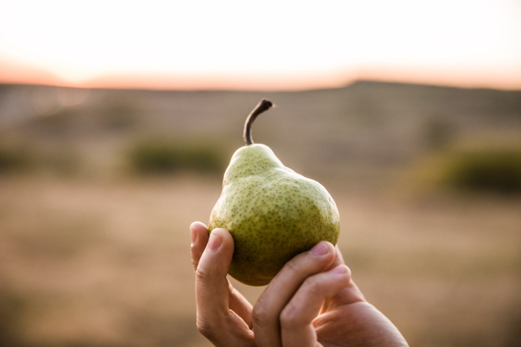 Calgary personal branding photographer, woman business owner posing for her headshot for her branding photos at Nose Hill Park