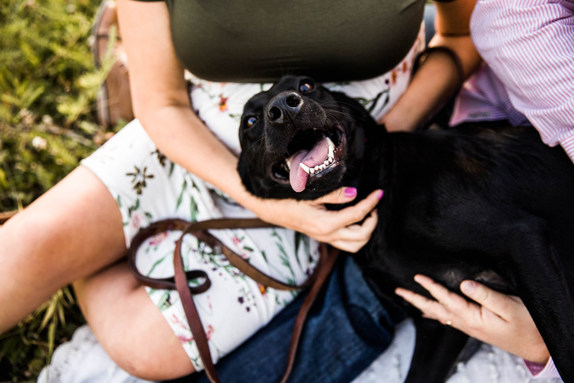 Calgary, Banff, Kananaskis Country lifestyle maternity and newborn photographer, couple posing in the mountains in Kananaskis Country for their maternity photos