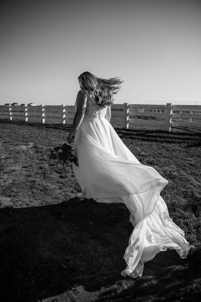 Calgary Alberta wedding photographer, farm, rustic, country, summer, sunflower wedding on a private property
