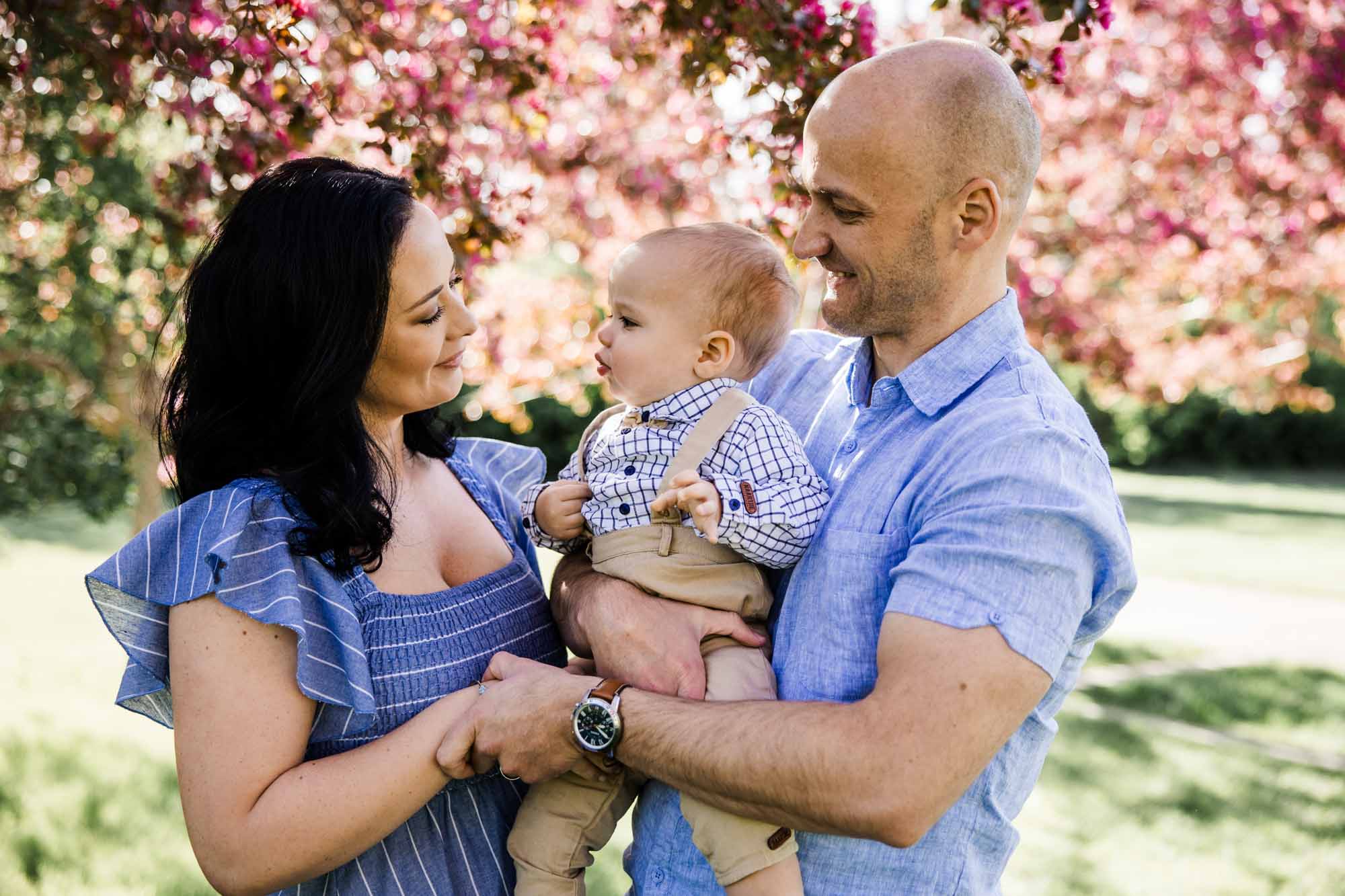 Calgary family photographer, family during their mini session at Baker Park around the cherry blossom trees