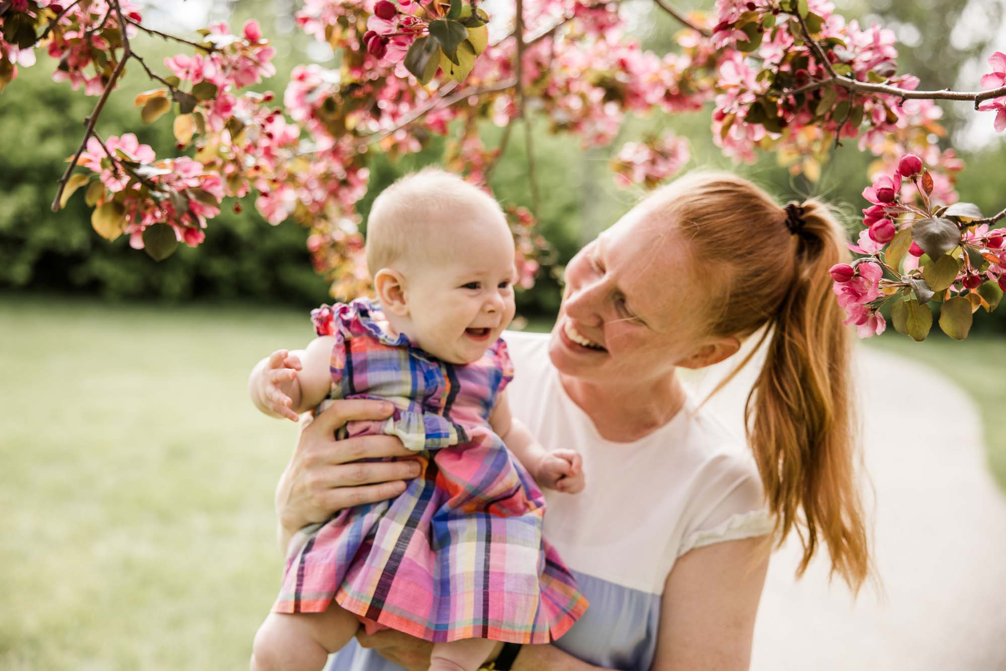 Calgary family photographer, family during their mini session at Baker Park around the cherry blossom trees