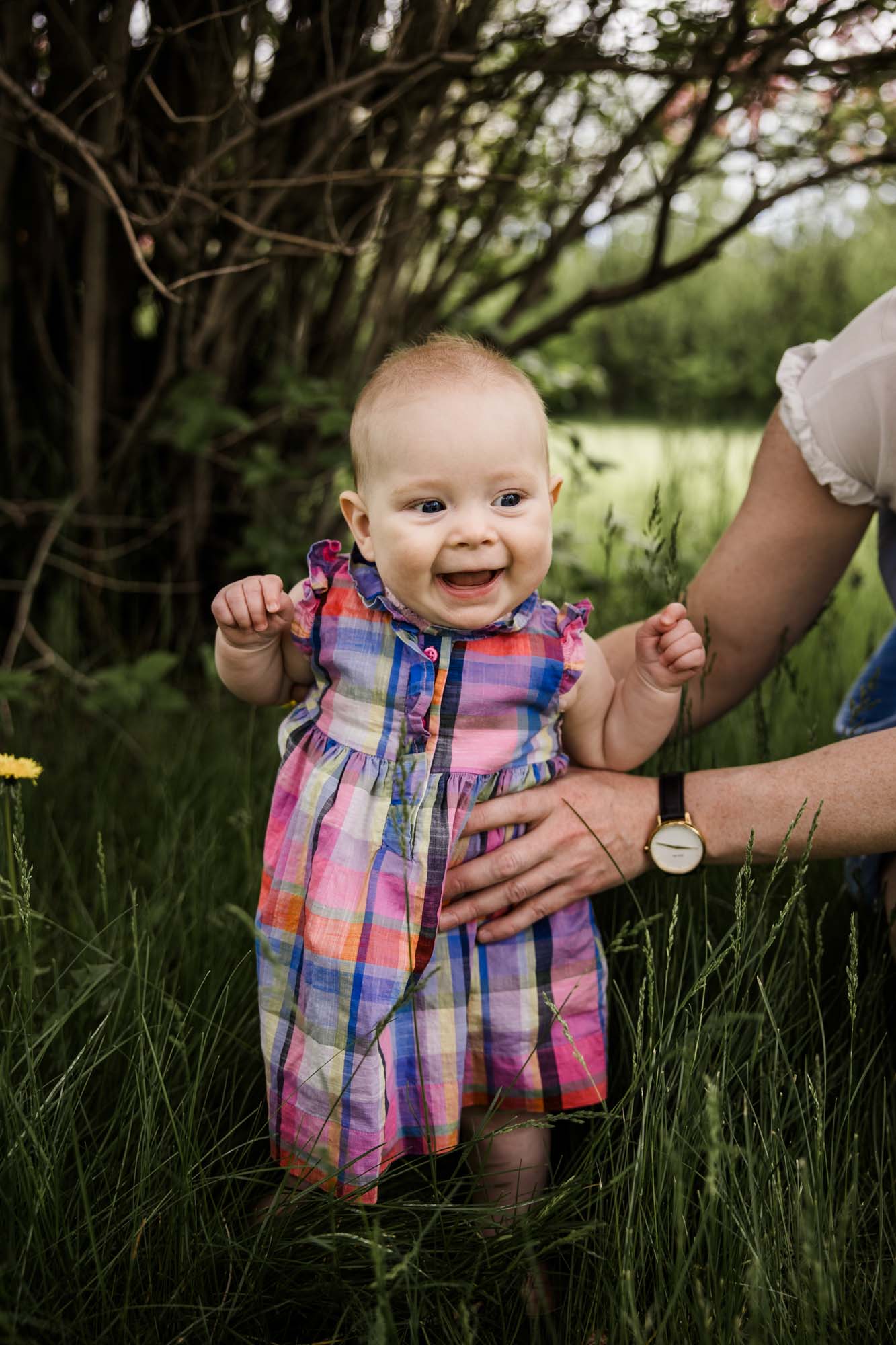 Calgary family photographer, family during their mini session at Baker Park around the cherry blossom trees