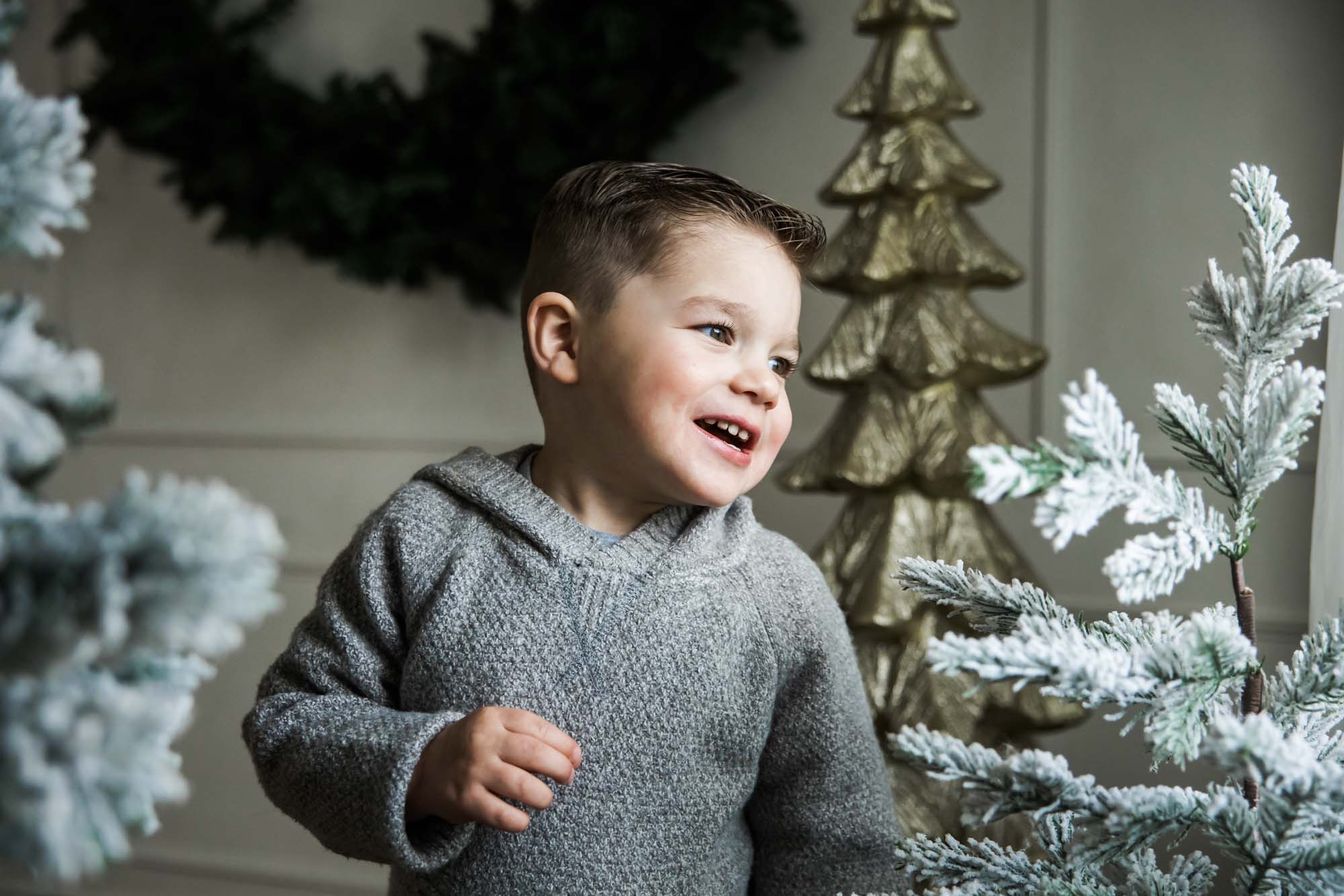 Calgary fmaily photographer, Christmas mini sessions photoshoots in a studio