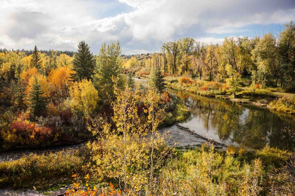 Calgary and Kananaskis branding and headshot photographer, photoshoot for Parks of Calgary at Fish Creek Park during a mini session