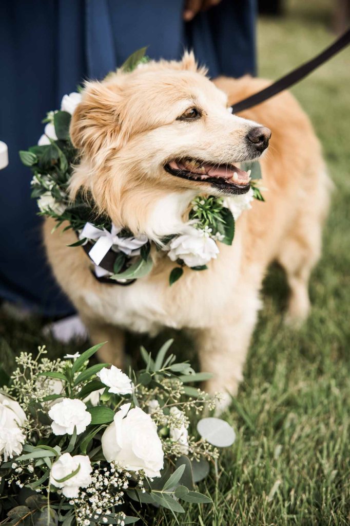 Calgary, Banff, Canmore wedding photographer, intimate, documentary style wedding photography, micro, backyard