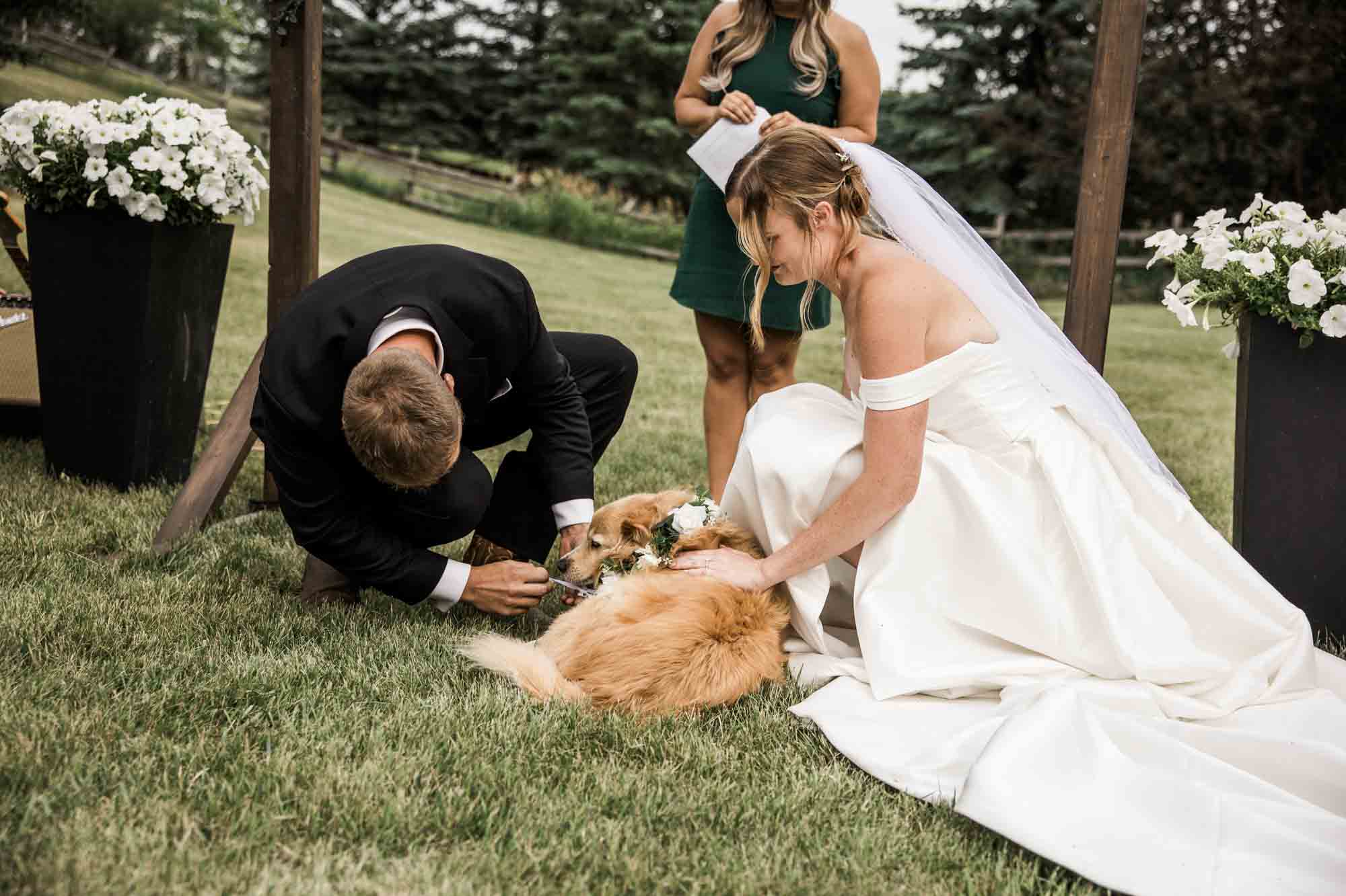 Calgary, Banff, Canmore wedding photographer, intimate, documentary style wedding photography, micro, backyard