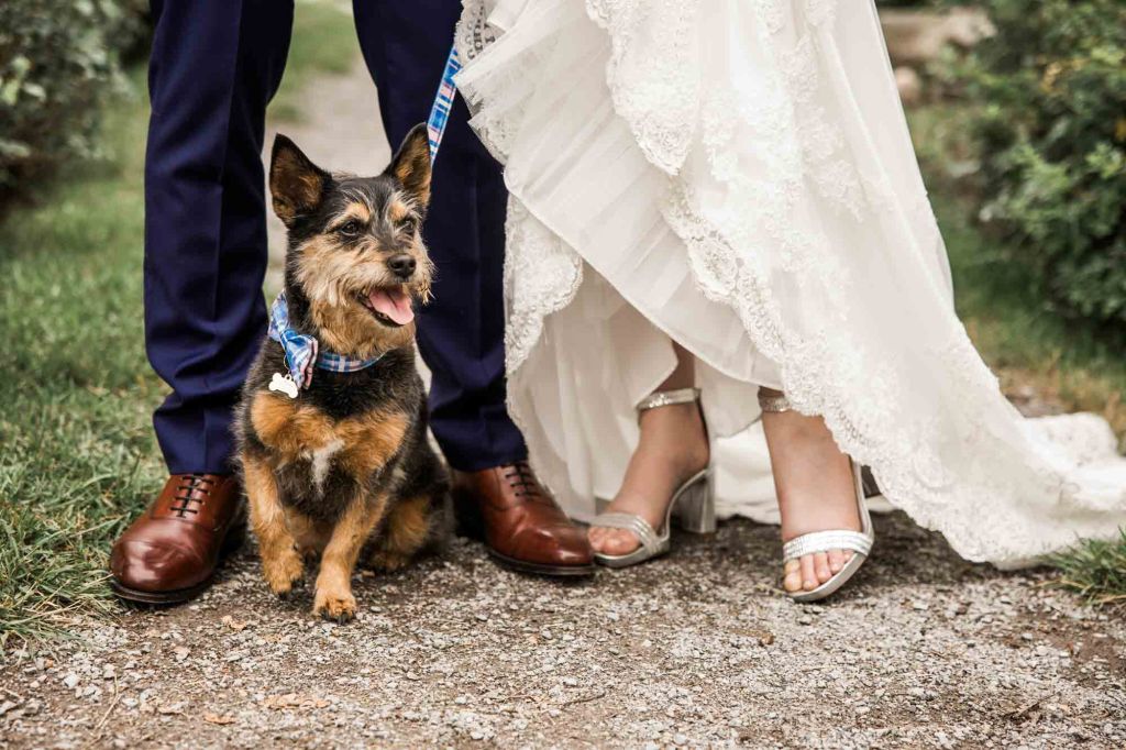Calgary, Banff, Canmore wedding photographer, intimate, documentary style wedding, editorial, backyard
