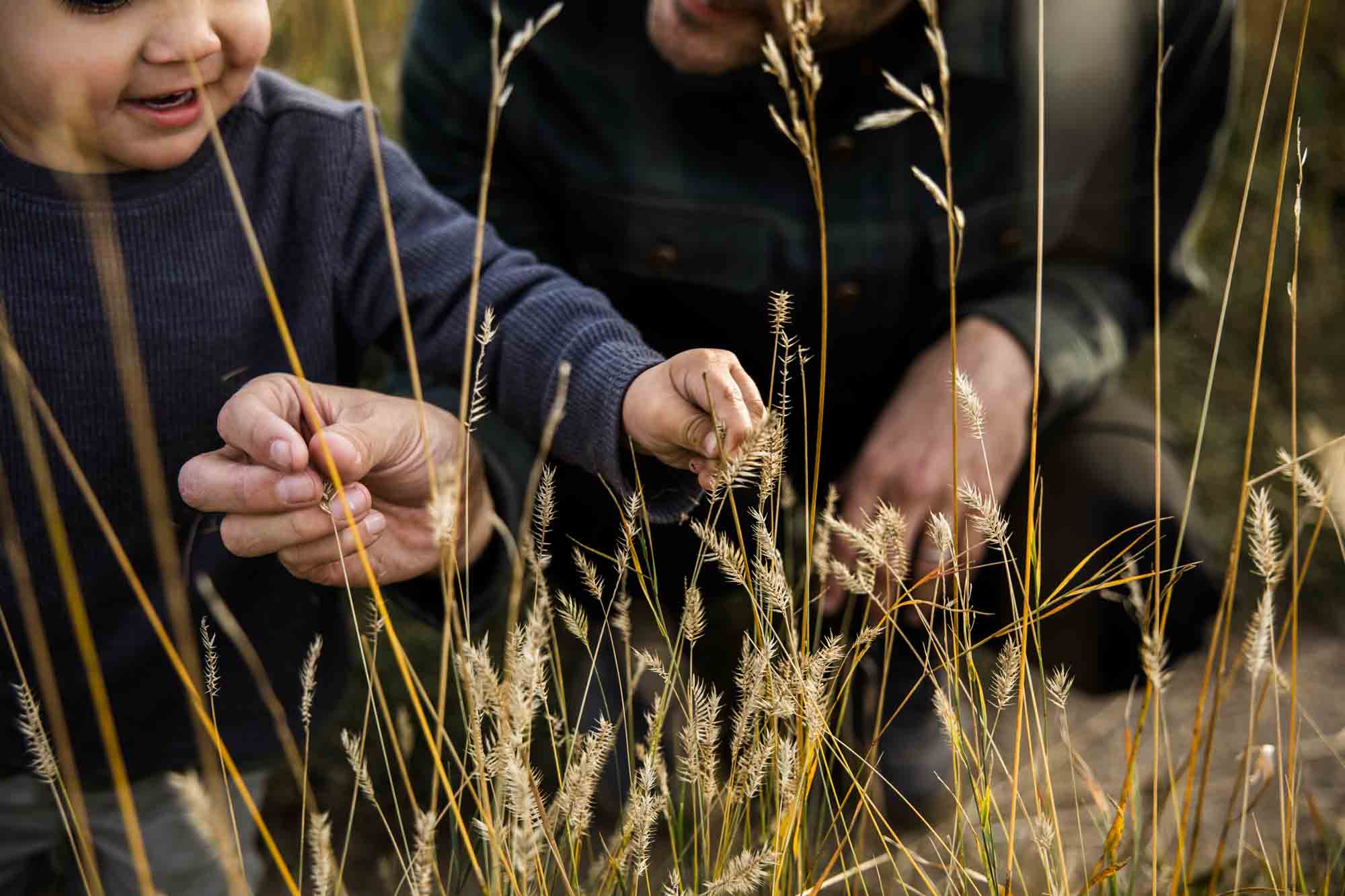 Calgary family photographer, extended large family photoshoot at Fish Creek Provincial Park, lifestyle, storytelling, candid