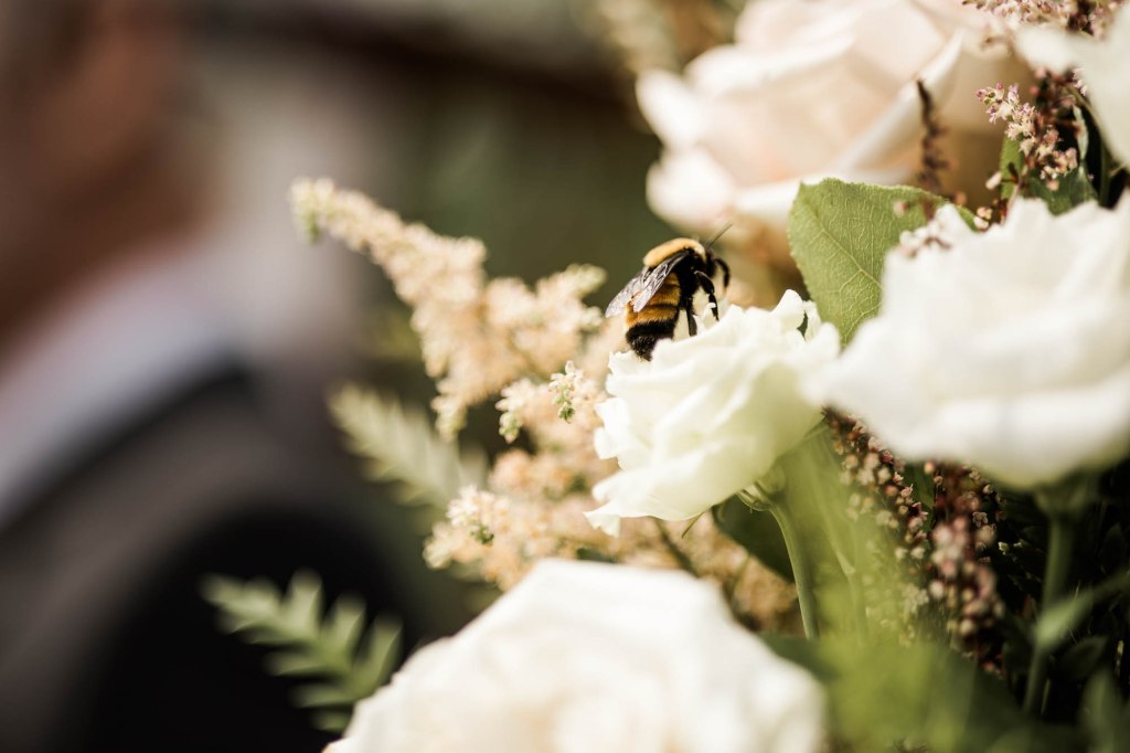Calgary wedding photographer, bride and groom on their wedding day at Cork and Crate Estates in Olds Alberta, storytelling, candid, warm, editorial wedding photography