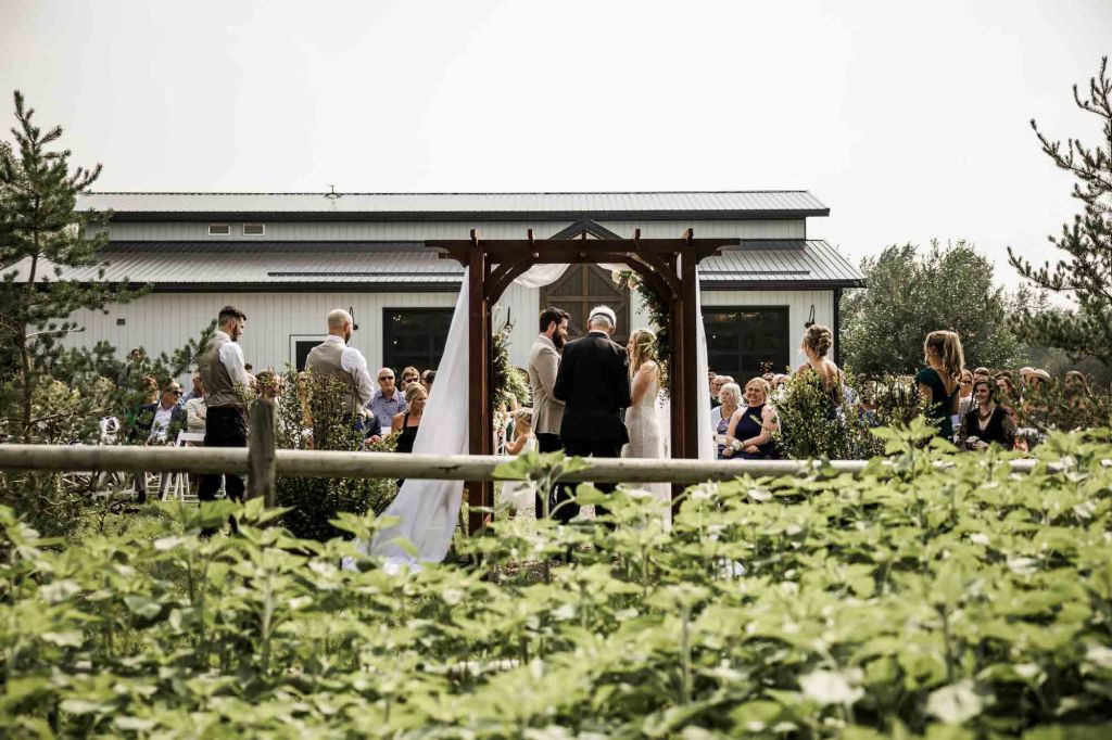 Calgary wedding photographer, bride and groom on their wedding day at Cork and Crate Estates in Olds Alberta, storytelling, candid, warm, editorial wedding photography